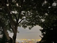 -惠山国家森林公园