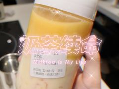 芒芒奶-兰熊鲜奶(西直门凯德mall店)