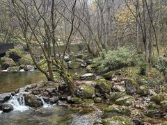 -牛背梁国家森林公园