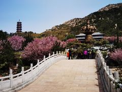 -石岛赤山风景区
