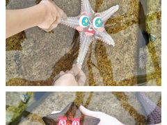 -鹿儿岛水族馆