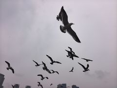 -星海广场