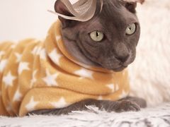 -拜鲁耶动物诊疗中心·宠家动物医院