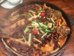 -老板恋上鱼(恒隆广场店)