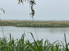 -苏州太湖湖滨国家湿地公园