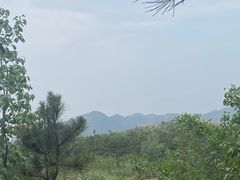 -乌素图国家森林公园