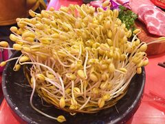 活体井水豆芽-巴九门老火锅(来福士打望店)