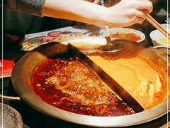 -九鼎轩脆毛肚火锅(南京东路店)
