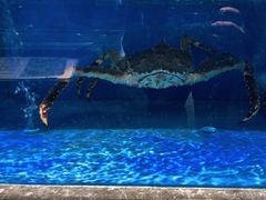 -百富源·海鲜辽菜(和平北大街店)