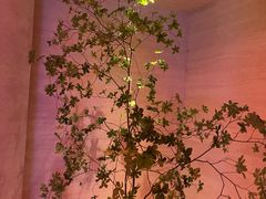 -舒小悦·舒养SPA·古法推拿(光环中心店)