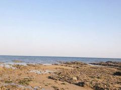 -渡海小渔村.老辈日照菜