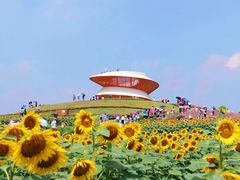 -光明小镇欢乐田园