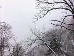 -陕西省红河谷森林公园