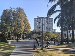 -四海公园(南山区)