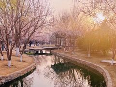 -三里河公园