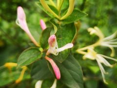 -公寓家常菜馆(海军博物馆店)