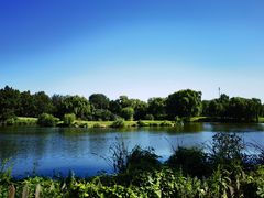 -万柳高尔夫俱乐部