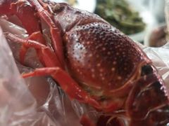 -霸王虾·麻辣小龙虾(清水河公园店)