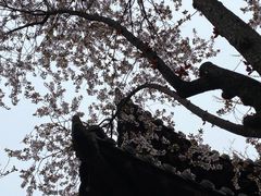 -碑林公园