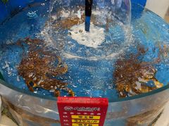 -北塘海鲜·天津菜·鲅鱼水饺是一绝(大光明桥旗舰店)