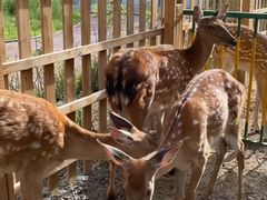 -水上乐园·欢乐世界