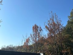 -虎跑公园