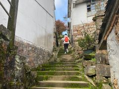 -四明山国家森林公园