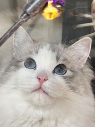 -花系美·美甲美睫精品店