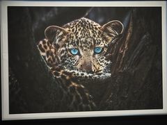 -罗红摄影艺术馆