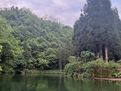 -龙苍沟森林公园