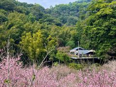 -广州市白云山风景名胜区