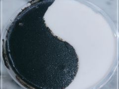 -芝麻糊世家(西华店)