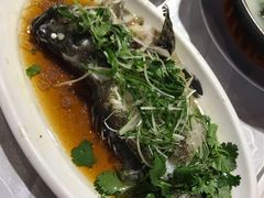 -大荣华酒楼(元朗老店)