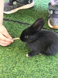 -萌宠亲子动物乐园(槐房万达店)