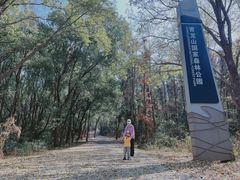 -青龙山国家森林公园