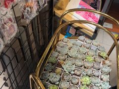 -蝦塘·中国餐馆(城墙南马道巷店)