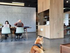 -山下C5cafe(惠通时代广场店)