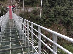 -九龙江国家森林公园