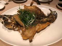 油浸野生笋壳鱼-金苑海鲜酒家(来魅力店)