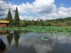 -溱湖国家湿地公园