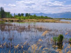-野鸭湖国家湿地公园