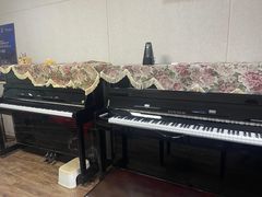 -秦川乐器(河西店)