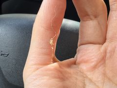 -一大糕点(纬六路店)