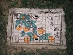 -青枫公园