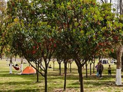 -汉长安城未央宫国家考古遗址公园