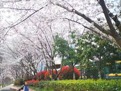 -砂之船奥莱(南京江宁店)