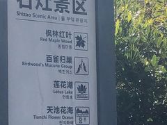 -广州市石门国家森林公园