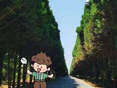 -秦始皇帝陵博物院(兵马俑)