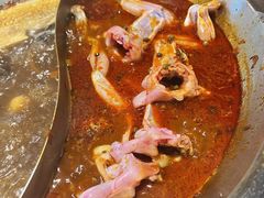 -铭记蛙小仙·活蛙畅享(CBD万达广场店)