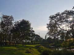 -两河城市森林公园